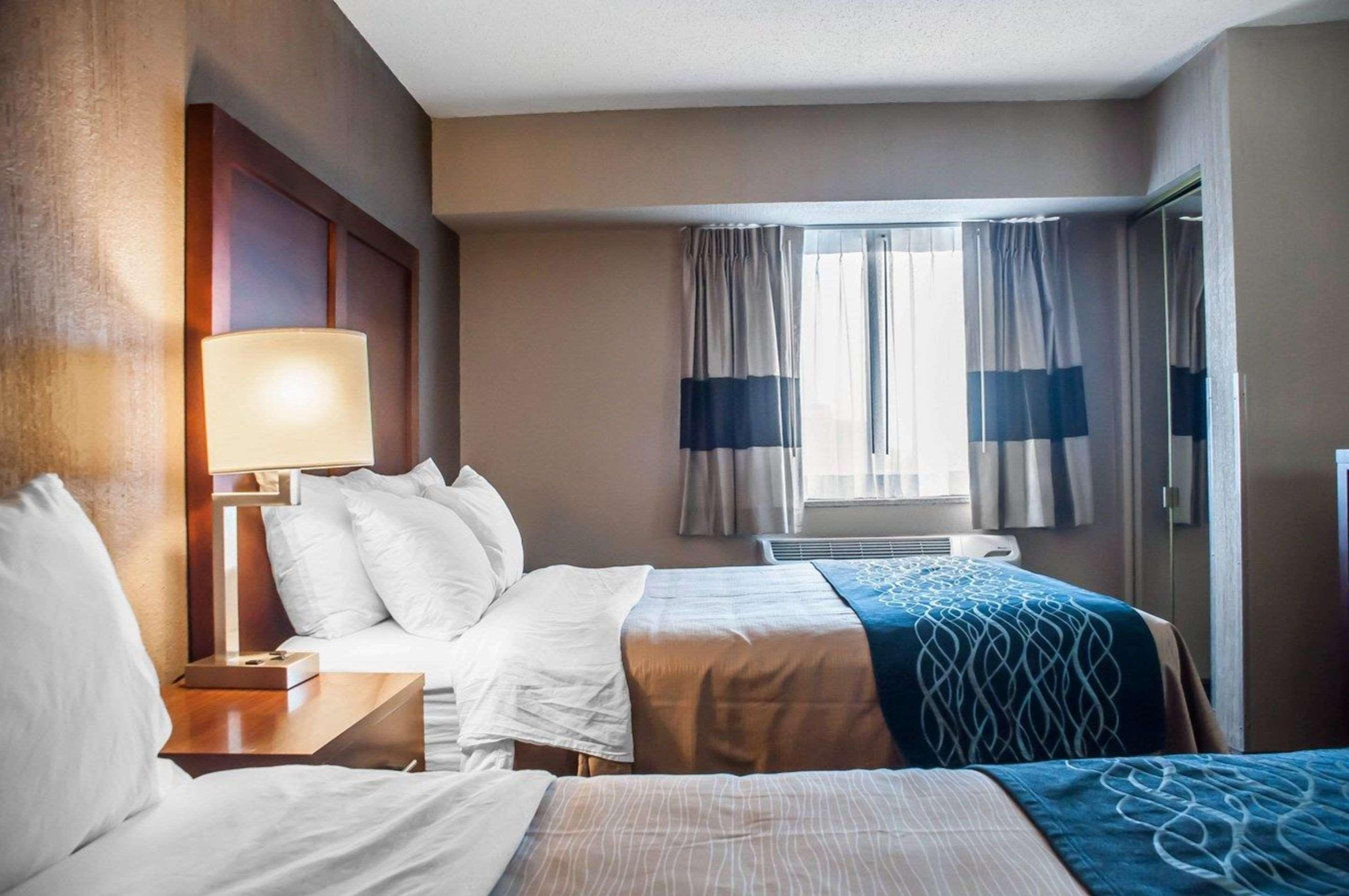 Comfort Inn University Amherst Extérieur photo