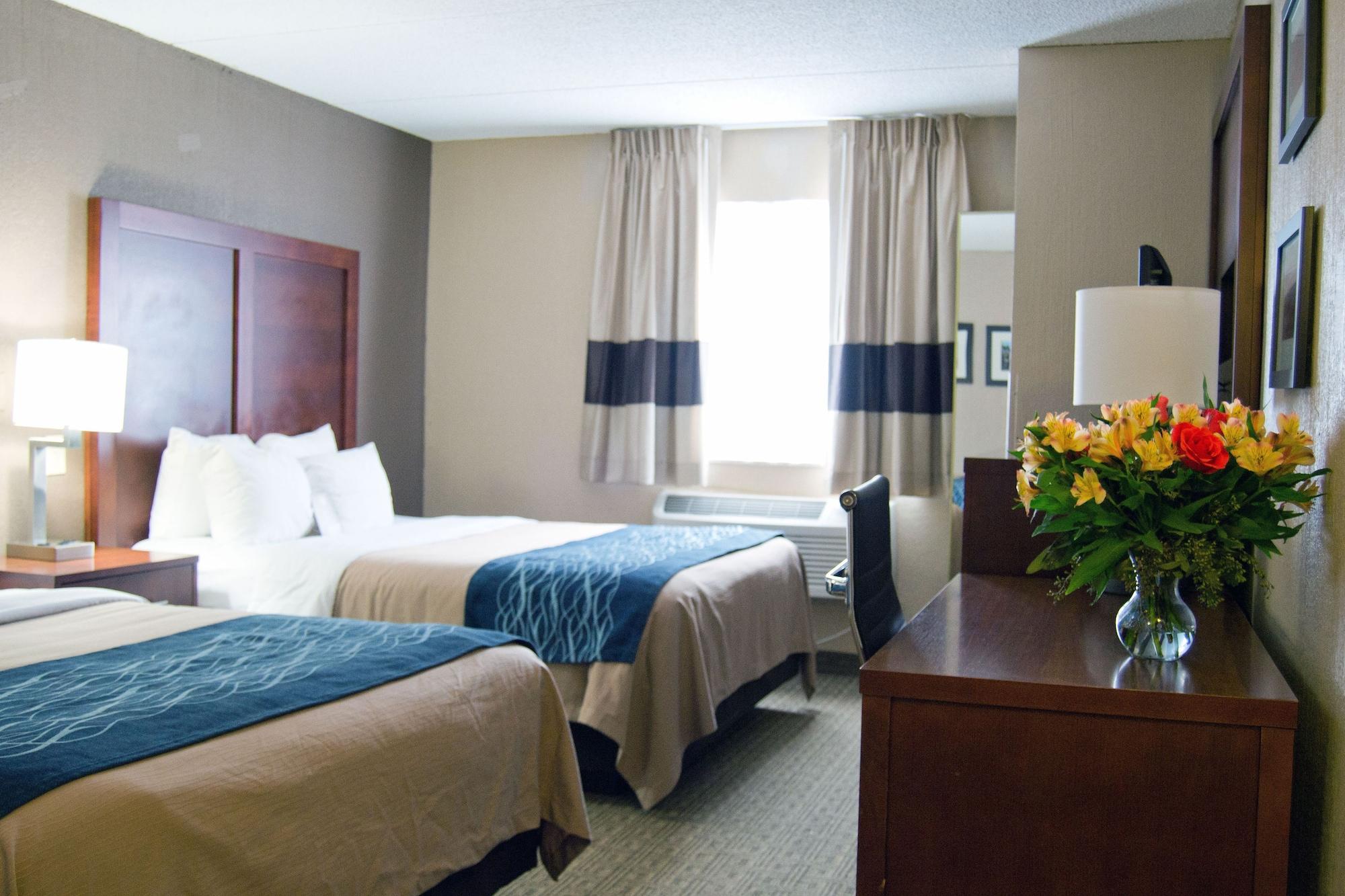 Comfort Inn University Amherst Extérieur photo