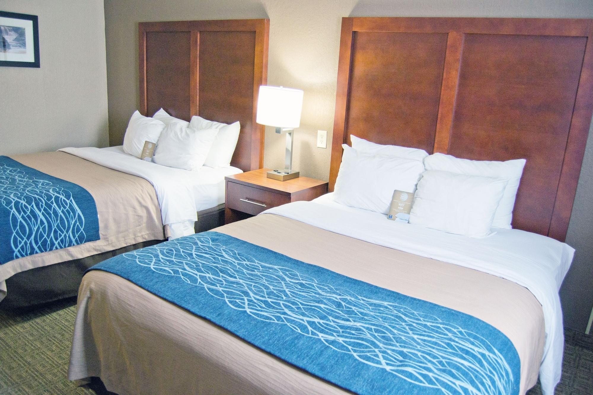 Comfort Inn University Amherst Extérieur photo