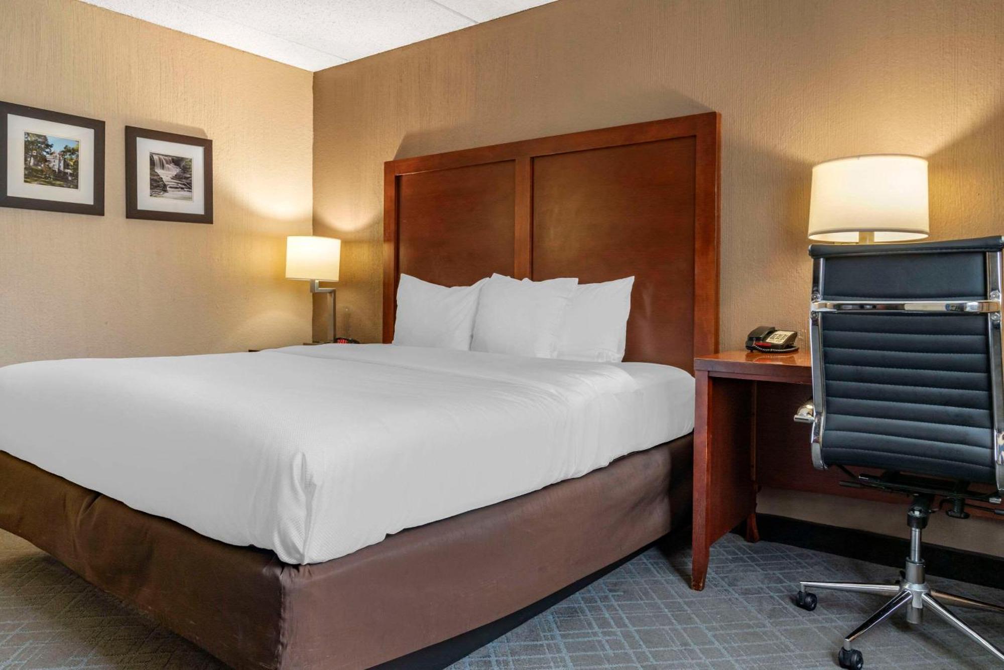 Comfort Inn University Amherst Extérieur photo